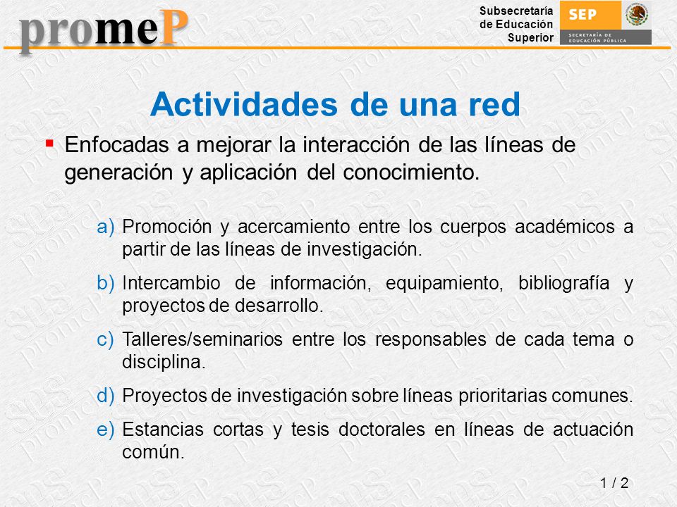 Actividades de una red Enfocadas a mejorar la interacción de las líneas de generación y aplicación del conocimiento.