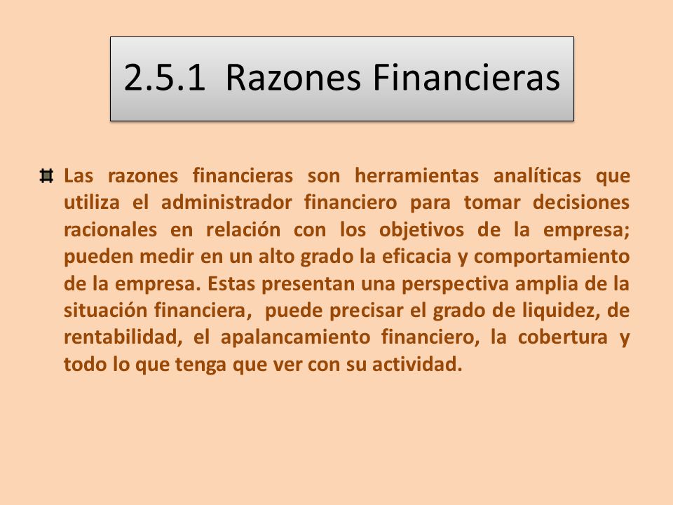 2.5.1 Razones Financieras