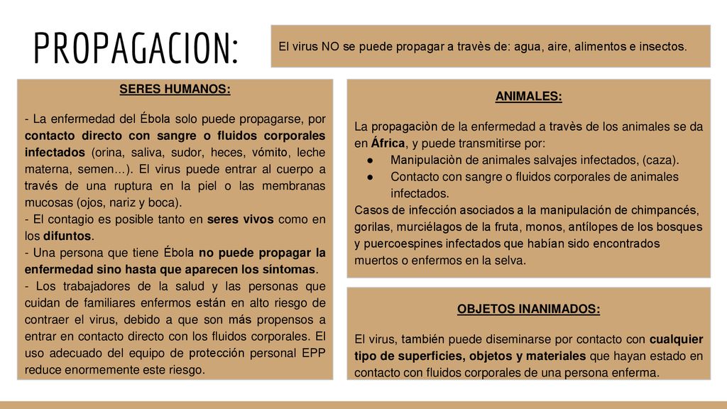 PROPAGACION: El virus NO se puede propagar a travès de: agua, aire, alimentos e insectos. SERES HUMANOS:
