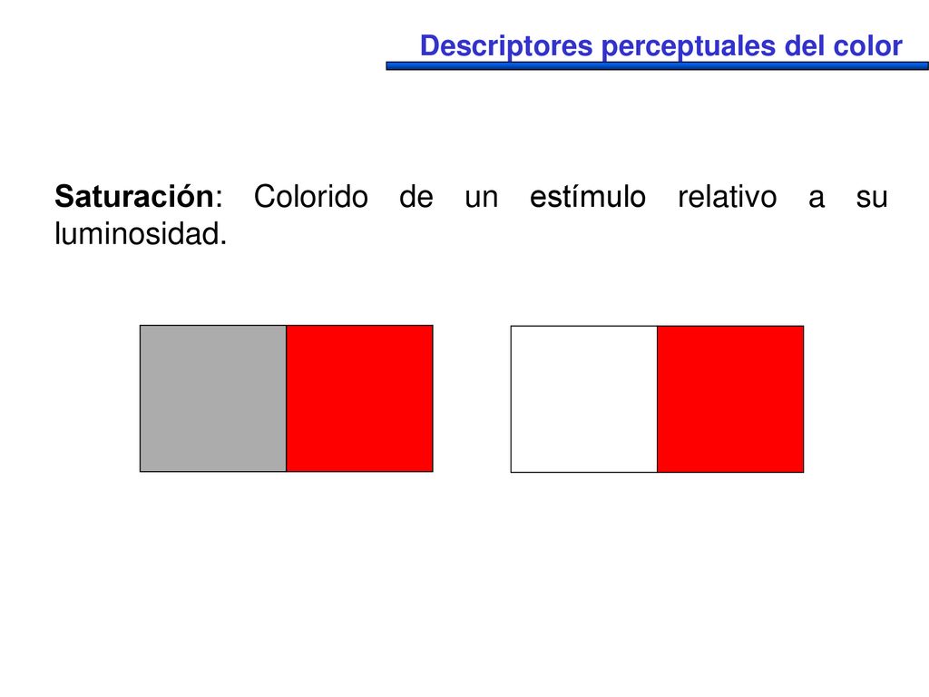Saturación: Colorido de un estímulo relativo a su luminosidad.