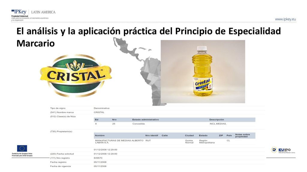 El análisis y la aplicación práctica del Principio de Especialidad Marcario