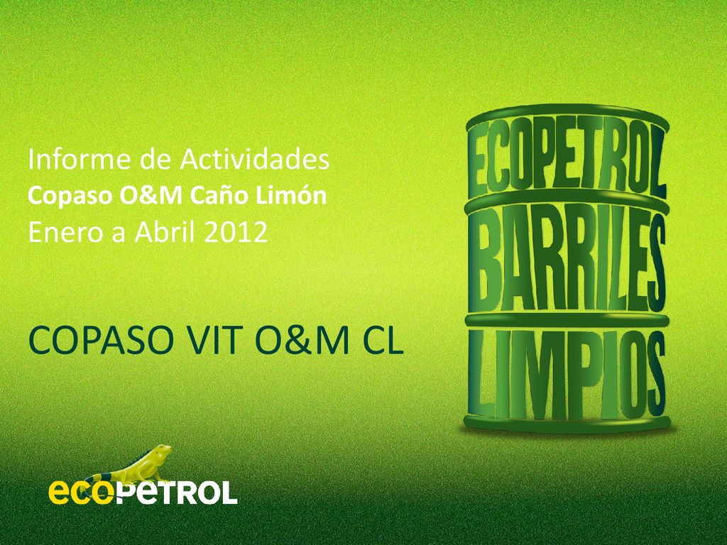 COPASO VIT O&M CL Informe de Actividades Enero a Abril 2012