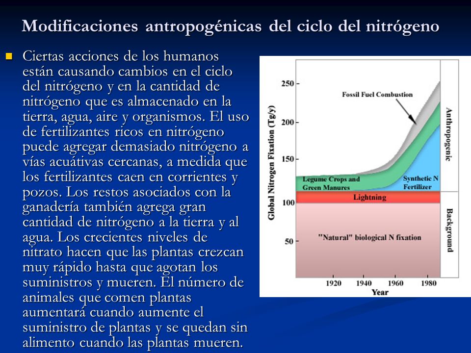 Modificaciones antropogénicas del ciclo del nitrógeno
