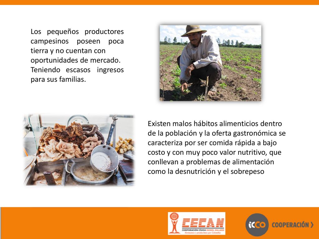 Los pequeños productores campesinos poseen poca tierra y no cuentan con