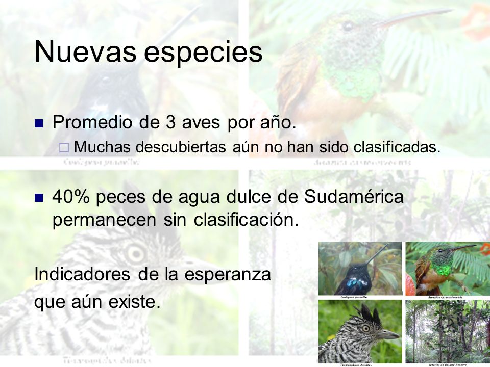 Nuevas especies Promedio de 3 aves por año.