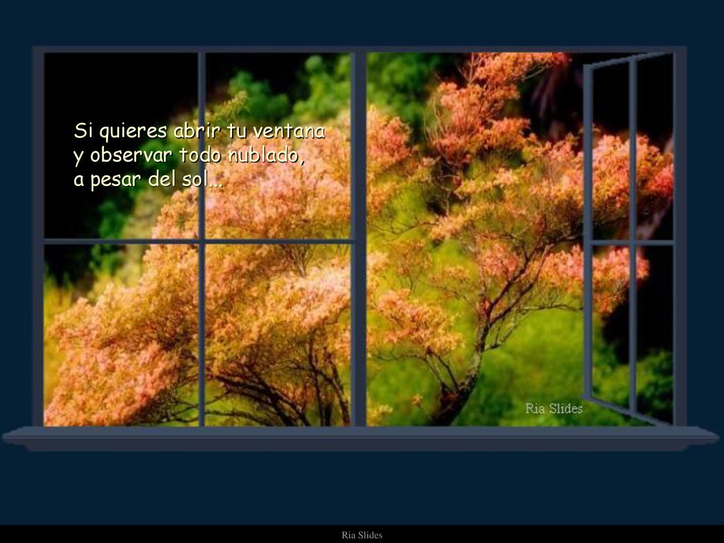 Si quieres abrir tu ventana y observar todo nublado, a pesar del sol...