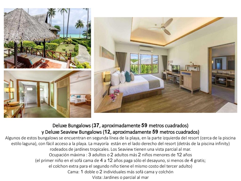 Deluxe Bungalows (37, aproximadamente 59 metros cuadrados) y Deluxe Seaview Bungalows (12, aproximadamente 59 metros cuadrados) Algunos de estos bungalows se encuentran en segunda línea de la playa, en la parte izquierda del resort (cerca de la piscina estilo laguna), con fácil acceso a la playa. La mayoría están en el lado derecho del resort (detrás de la piscina infinity) rodeados de jardines tropicales. Los Seaview tienen una vista parcial al mar. Ocupación máxima : 3 adultos o 2 adultos más 2 niños menores de 12 años (el primer niño en el sofá cama de 4 a 12 años paga sólo el desayuno, si menos de 4 gratis; el colchon extra para el segundo niño tiene el mismo costo del tercer adulto) Cama: 1 doble o 2 individuales más sofá cama y colchón Vista: Jardines o parcial al mar