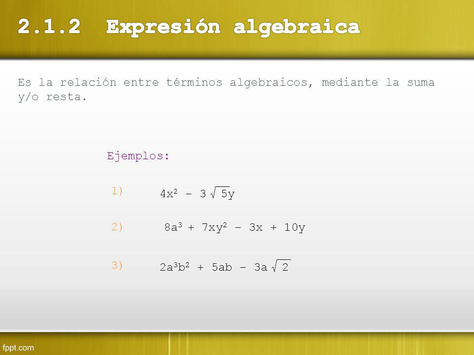 2.1.2 Expresión algebraica Es la relación entre términos algebraicos, mediante la suma y/o resta. Ejemplos: