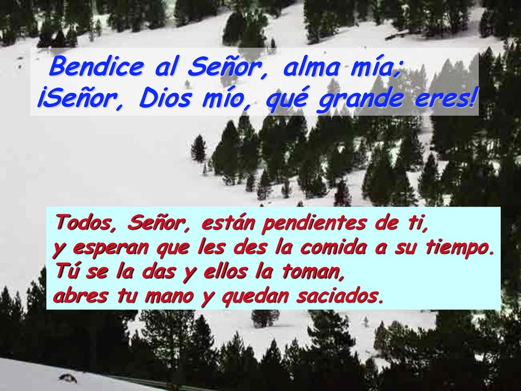 Bendice al Señor, alma mía; ¡Señor, Dios mío, qué grande eres!
