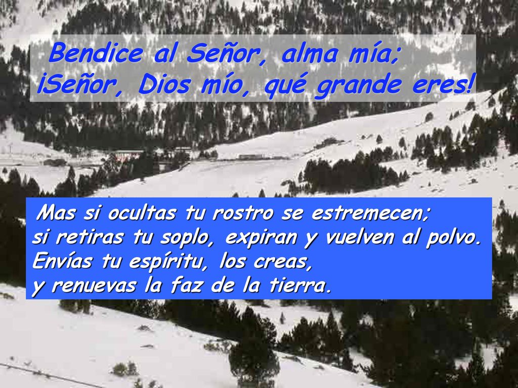 Bendice al Señor, alma mía; ¡Señor, Dios mío, qué grande eres!