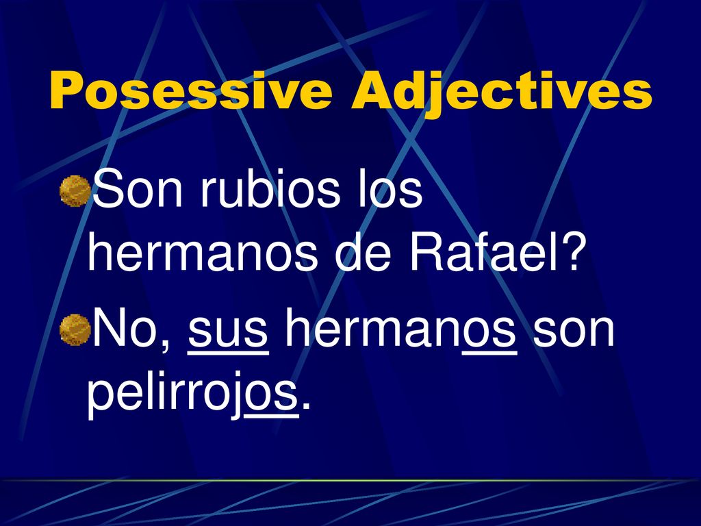 Posessive Adjectives Son rubios los hermanos de Rafael No, sus hermanos son pelirrojos.