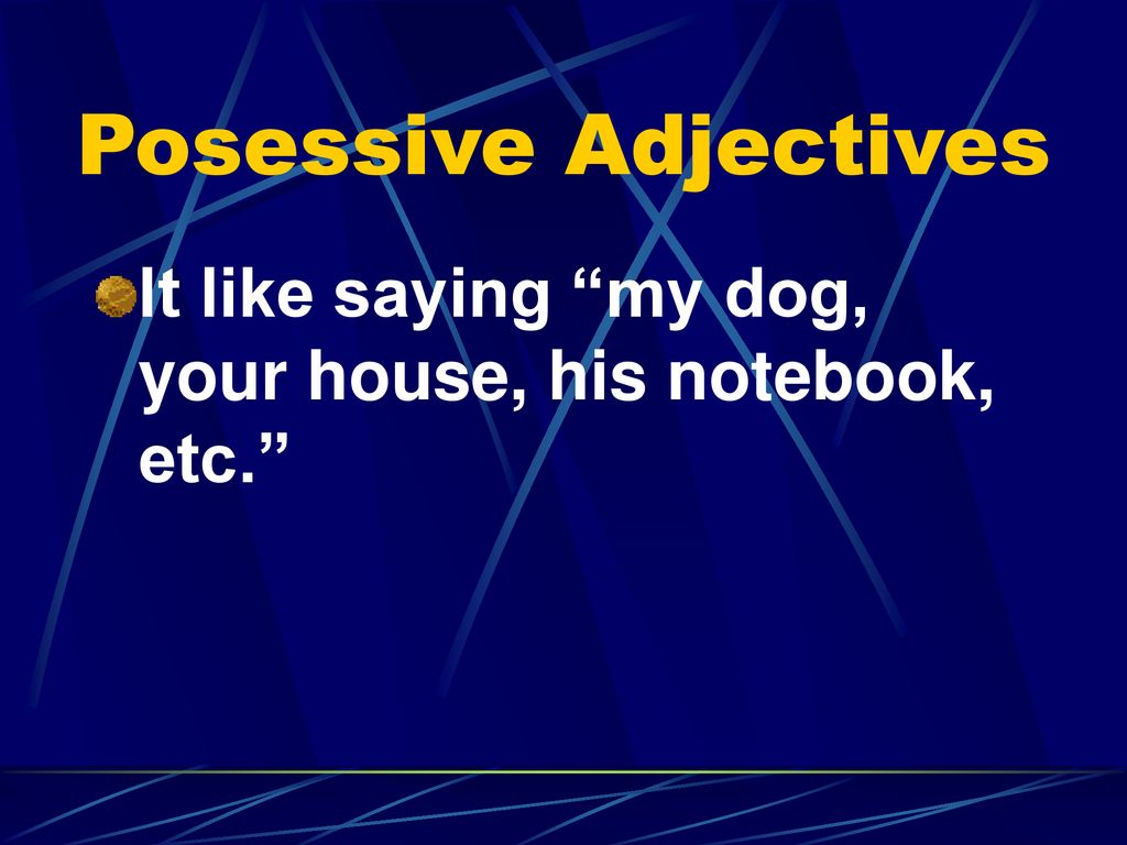 Posessive Adjectives It like saying my dog, your house, his notebook, etc.