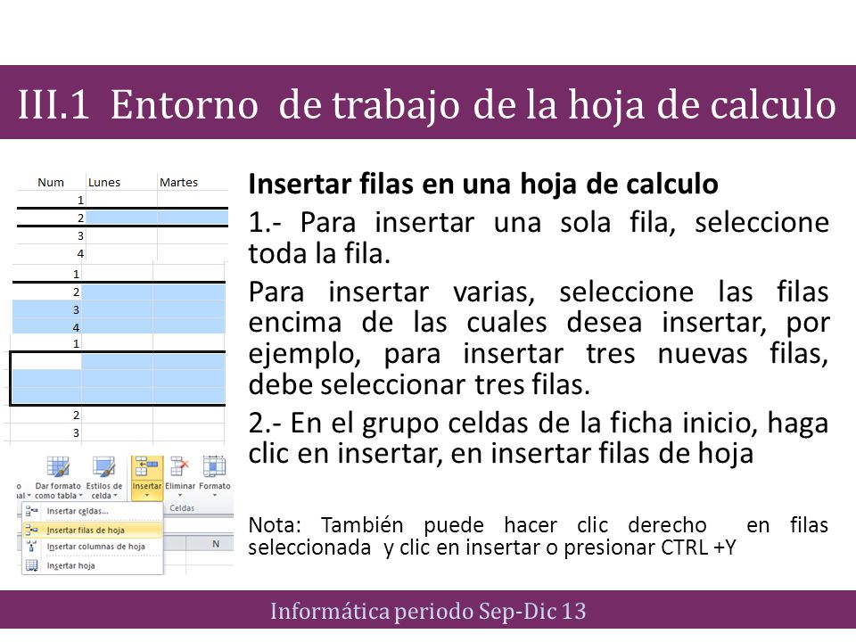 III.1 Entorno de trabajo de la hoja de calculo