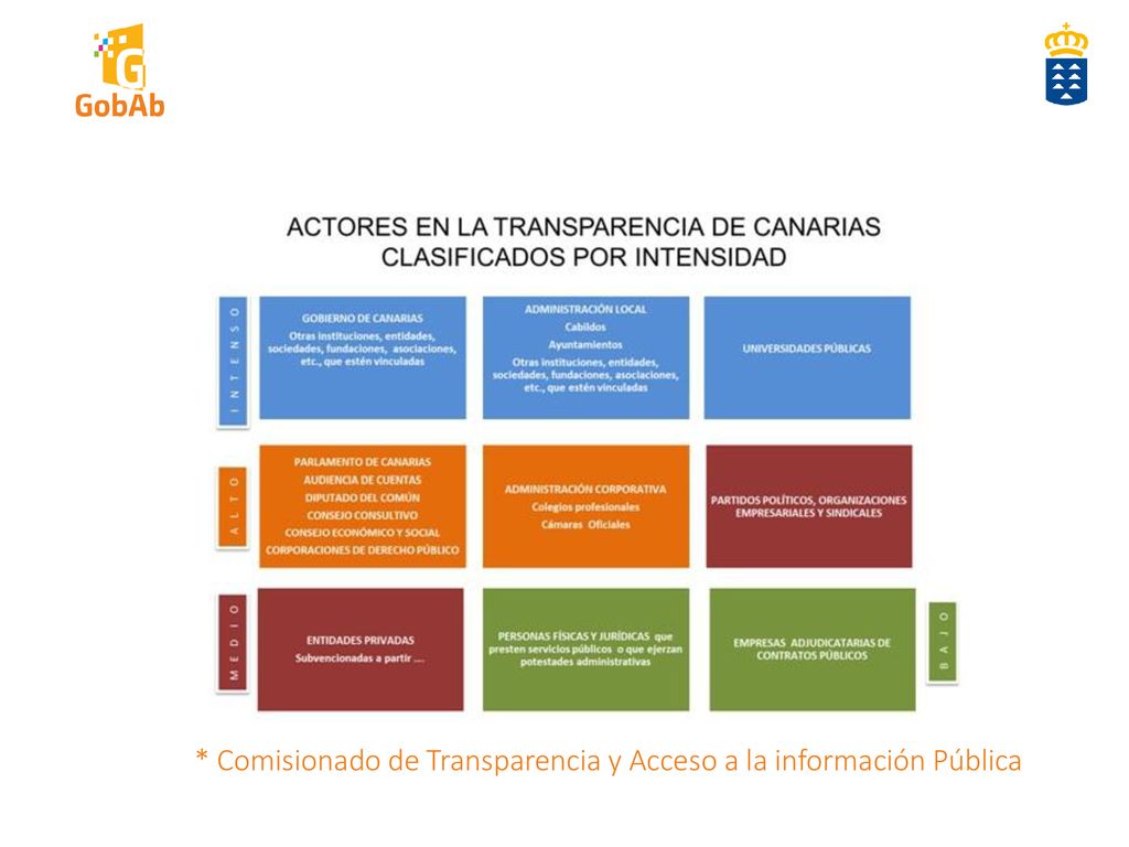 * Comisionado de Transparencia y Acceso a la información Pública