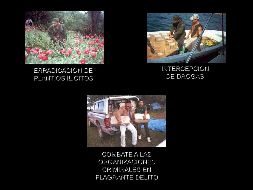 INTERCEPCION DE DROGAS. ERRADICACION DE. PLANTIOS ILICITOS. COMBATE A LAS. ORGANIZACIONES. CRIMINALES EN.