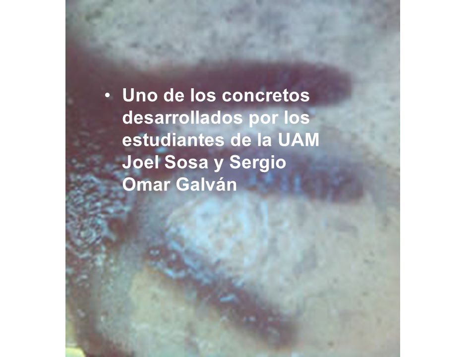Uno de los concretos desarrollados por los estudiantes de la UAM Joel Sosa y Sergio Omar Galván