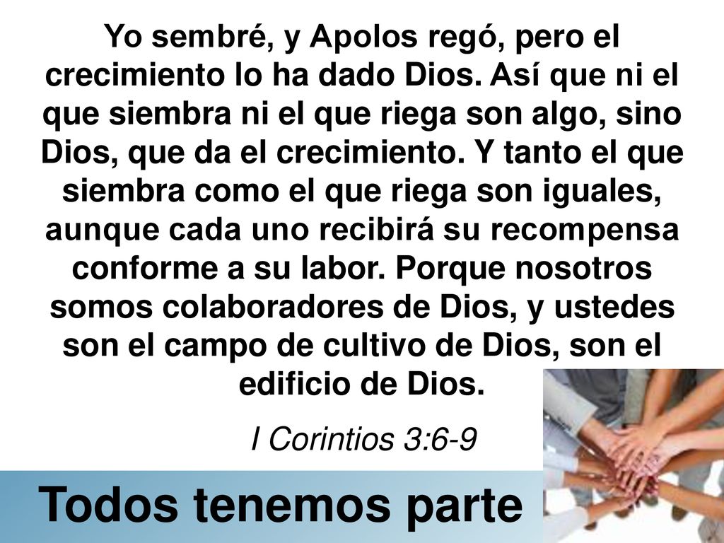 Yo sembré, y Apolos regó, pero el crecimiento lo ha dado Dios