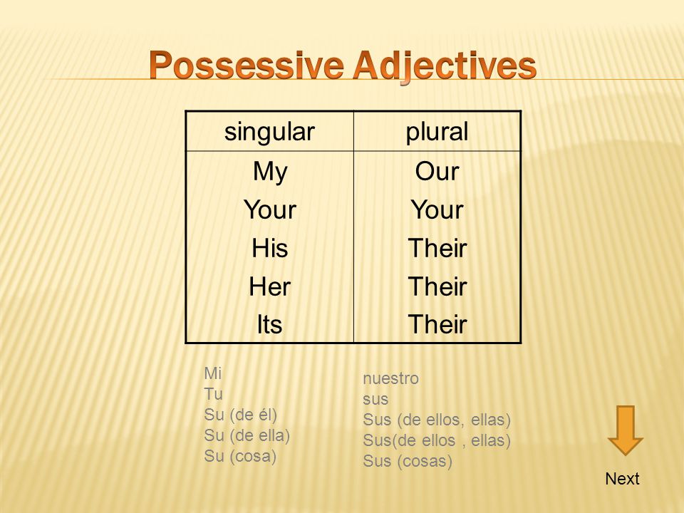 Possessive Adjectives