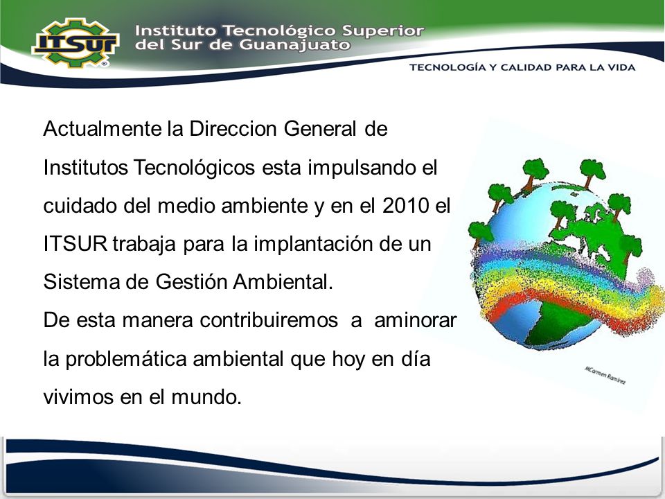 Actualmente la Direccion General de Institutos Tecnológicos esta impulsando el cuidado del medio ambiente y en el 2010 el ITSUR trabaja para la implantación de un Sistema de Gestión Ambiental.