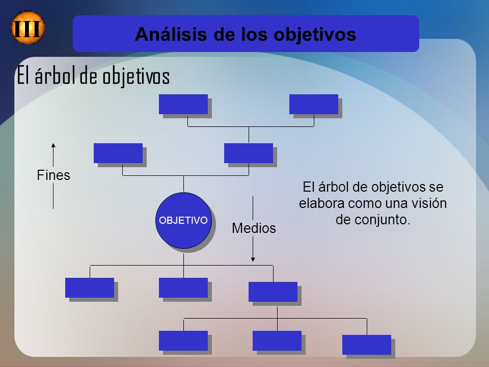 III El árbol de objetivos Análisis de los objetivos Fines