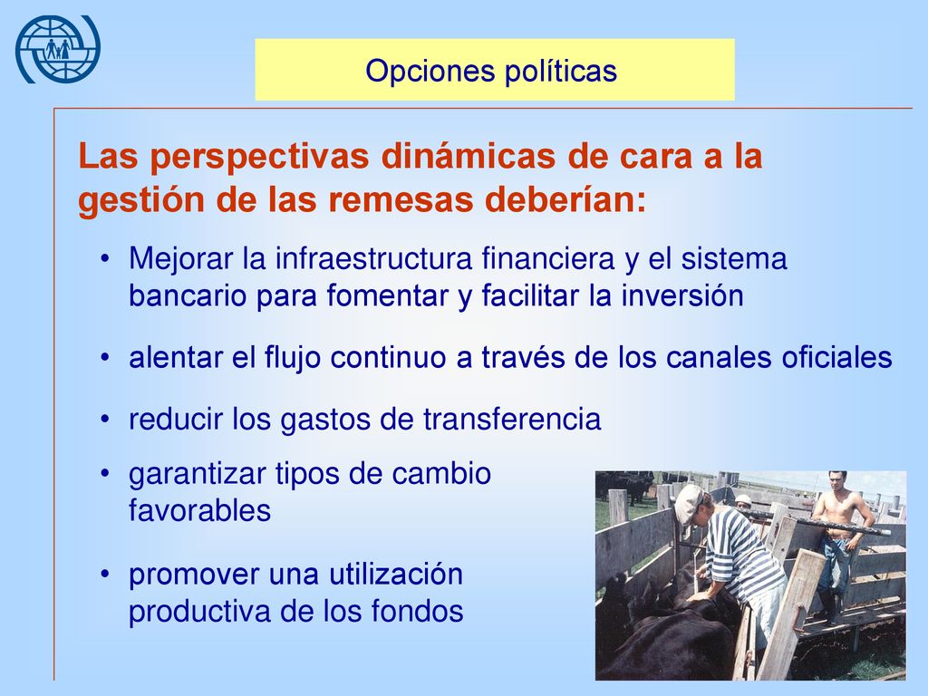 Opciones políticas Las perspectivas dinámicas de cara a la gestión de las remesas deberían: