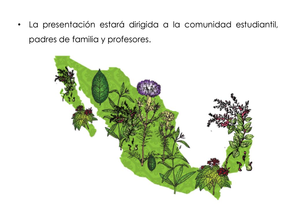 La presentación estará dirigida a la comunidad estudiantil, padres de familia y profesores.