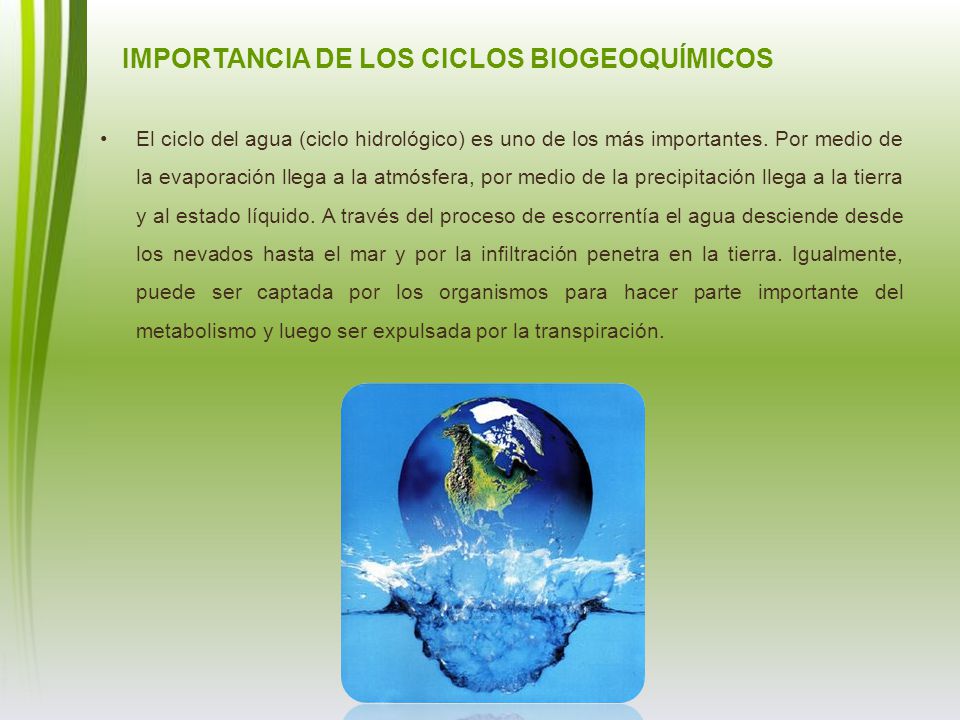 IMPORTANCIA DE LOS CICLOS BIOGEOQUÍMICOS