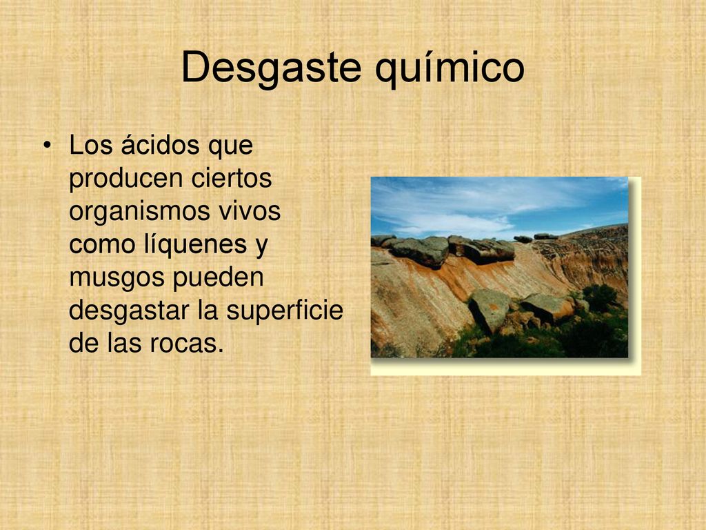 Desgaste químico Los ácidos que producen ciertos organismos vivos como líquenes y musgos pueden desgastar la superficie de las rocas.