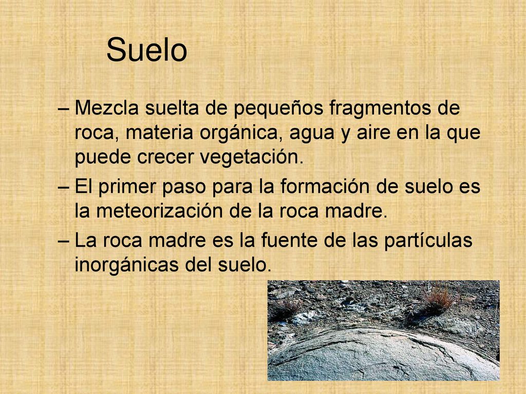 Suelo Mezcla suelta de pequeños fragmentos de roca, materia orgánica, agua y aire en la que puede crecer vegetación.