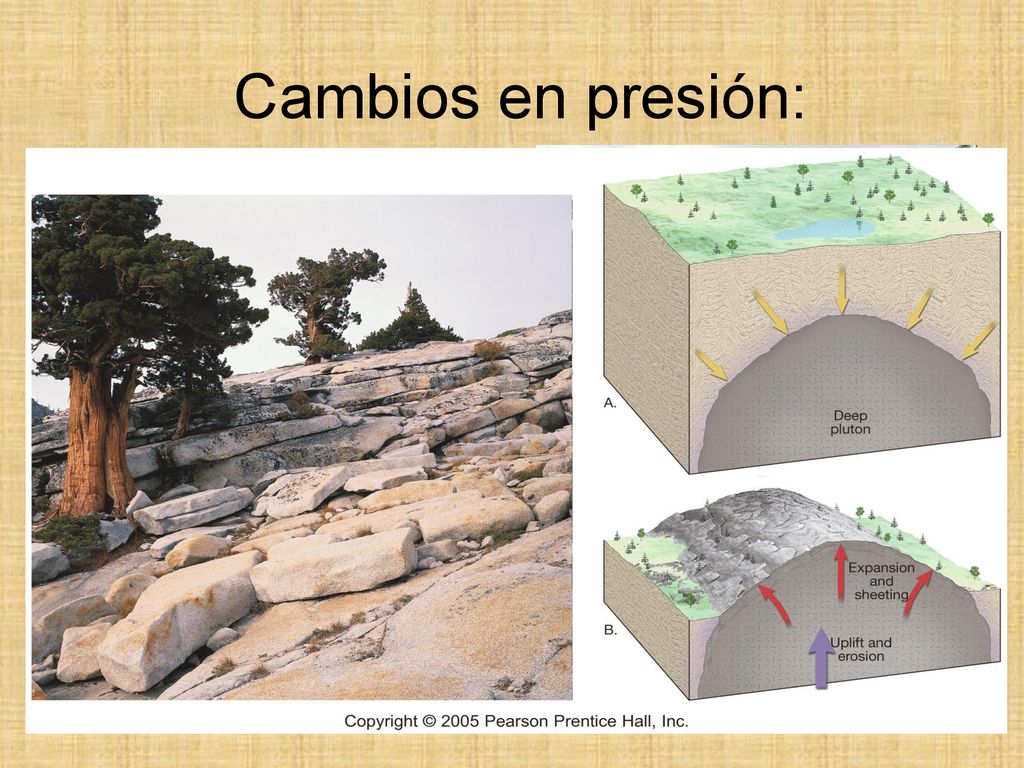 Cambios en presión: La exfoliación es el proceso por el cual las capas exteriores de roca lentamente se van perdiendo debido a cambios de presión.