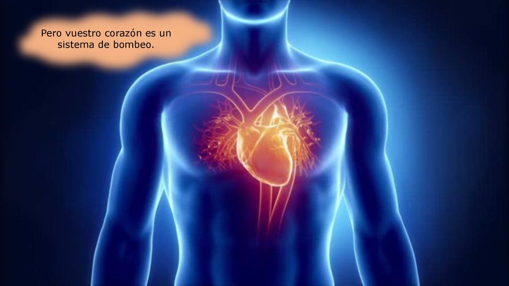 Pero vuestro corazón es un sistema de bombeo.