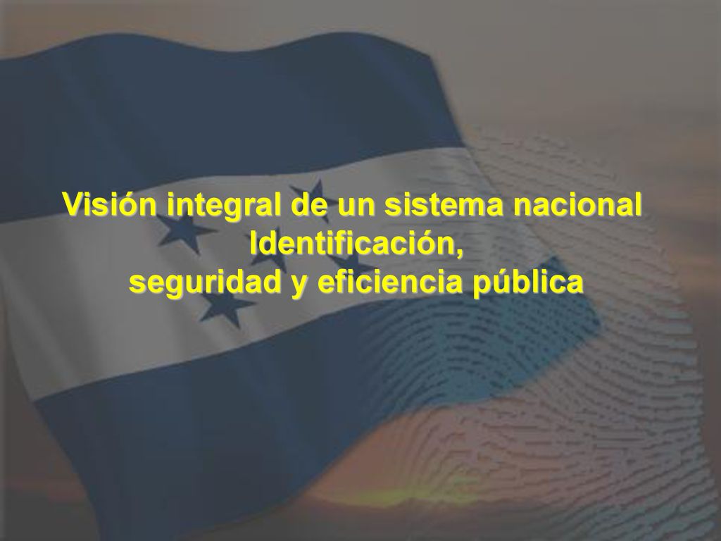 Visión integral de un sistema nacional seguridad y eficiencia pública