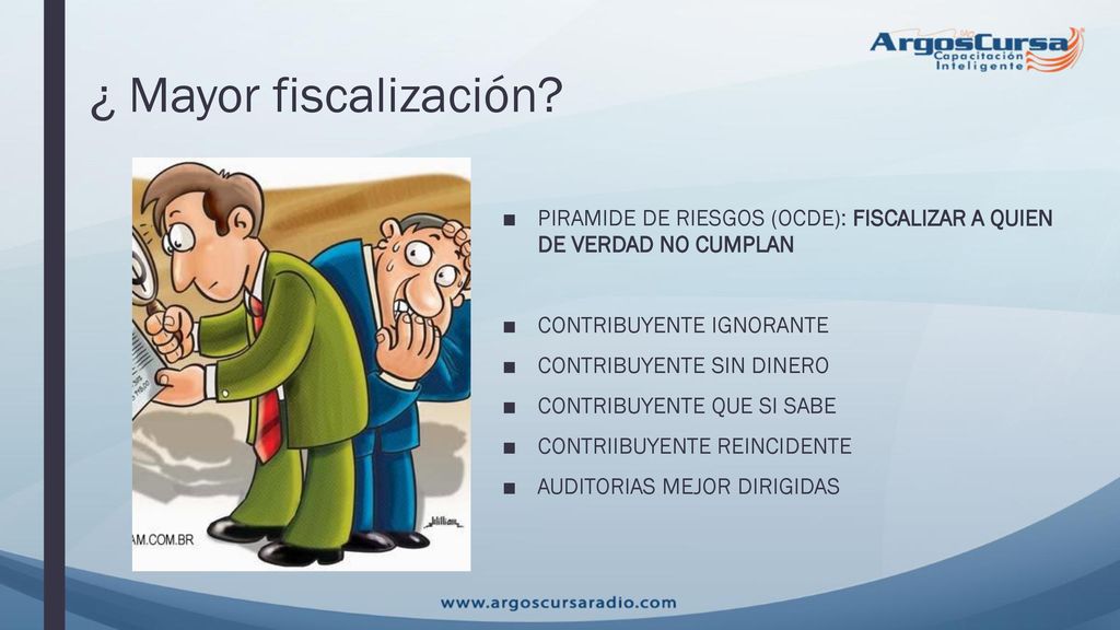 ¿ Mayor fiscalización PIRAMIDE DE RIESGOS (OCDE): FISCALIZAR A QUIEN DE VERDAD NO CUMPLAN. CONTRIBUYENTE IGNORANTE.