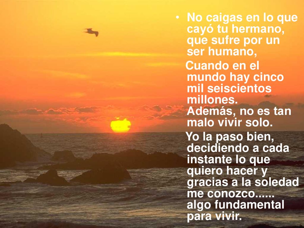 No caigas en lo que cayó tu hermano, que sufre por un ser humano,