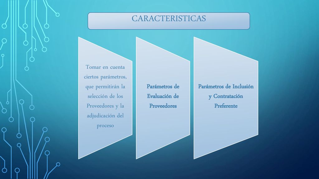 CARACTERISTICAS Tomar en cuenta ciertos parámetros, que permitirán la selección de los Proveedores y la adjudicación del proceso.