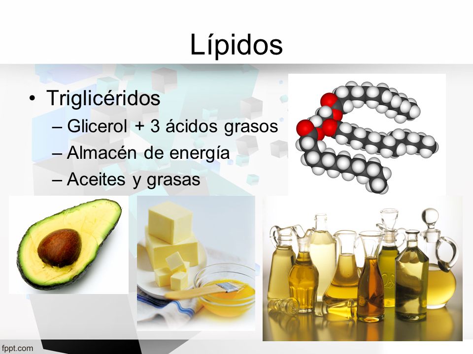 Lípidos Triglicéridos Glicerol + 3 ácidos grasos Almacén de energía