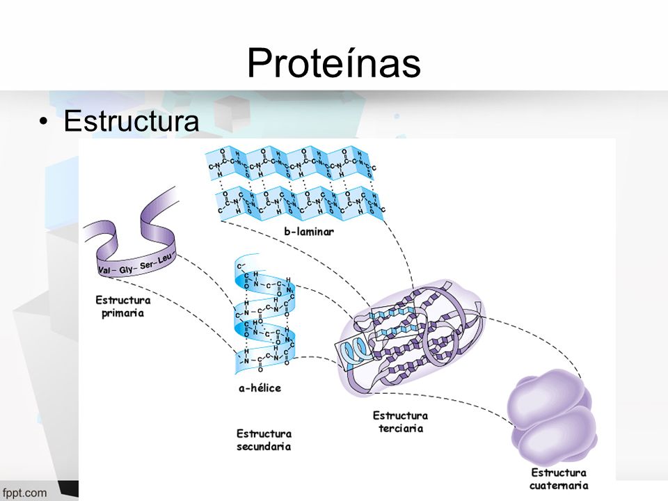Proteínas Estructura