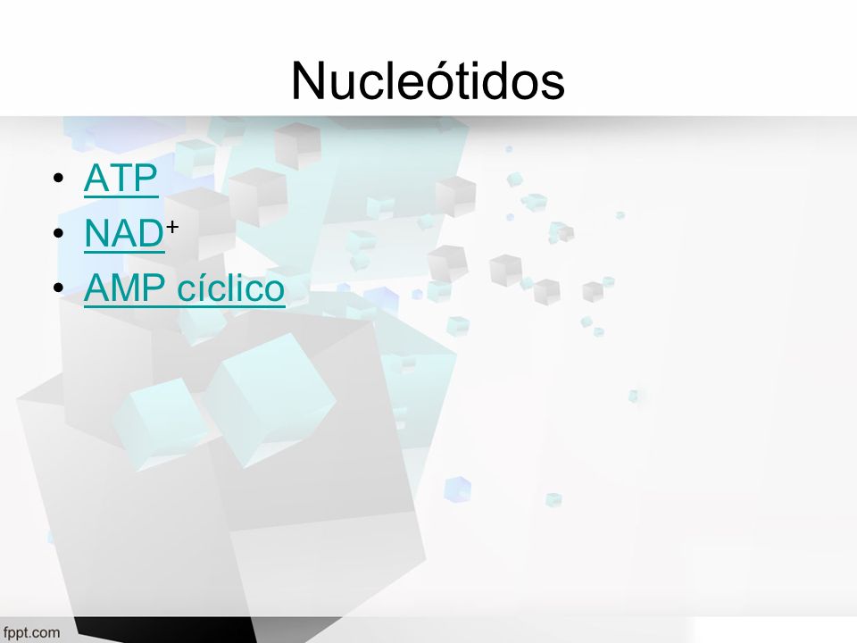 Nucleótidos ATP NAD+ AMP cíclico