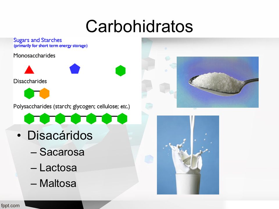 Carbohidratos Disacáridos Sacarosa Lactosa Maltosa