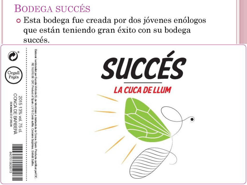 Bodega succés Esta bodega fue creada por dos jóvenes enólogos que están teniendo gran éxito con su bodega succés.