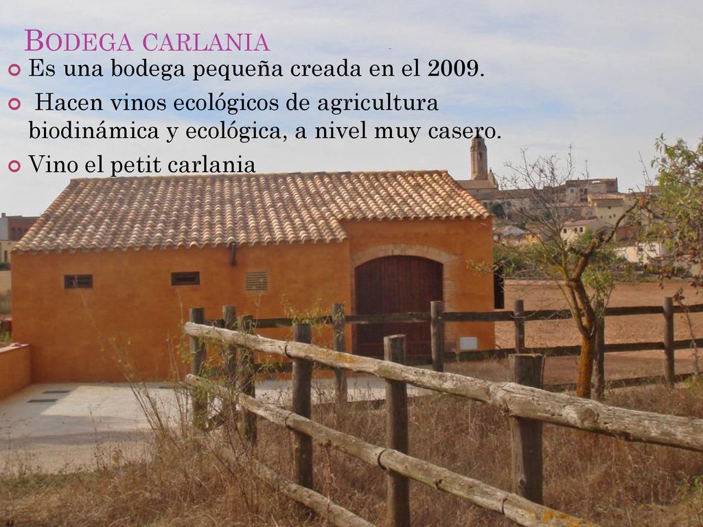 Bodega carlania Es una bodega pequeña creada en el 2009.