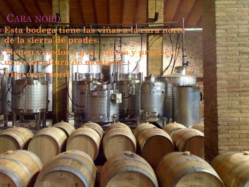 Cara nord Esta bodega tiene las viñas a la cara norte de la sierra de pradés. Tienen viñedos a gran altura y practicas una viticultura de montaña.