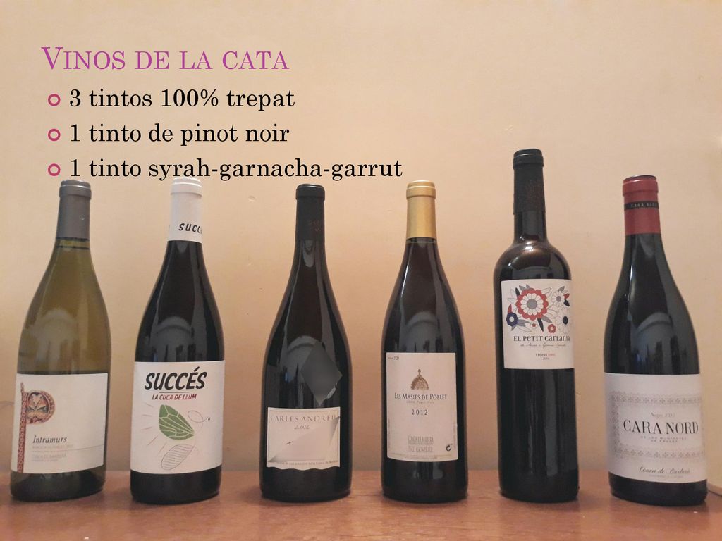 Vinos de la cata 3 tintos 100% trepat 1 tinto de pinot noir