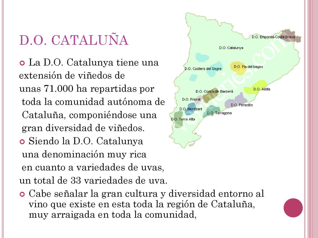 D.O. CATALUÑA La D.O. Catalunya tiene una extensión de viñedos de