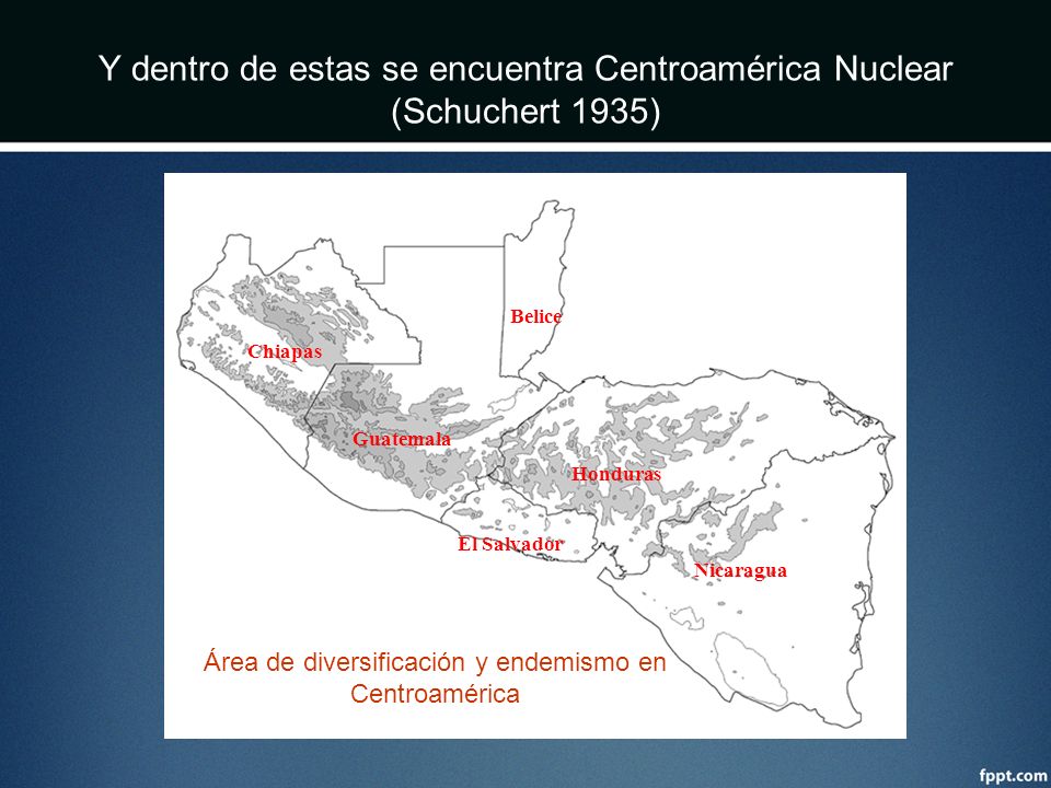 Y dentro de estas se encuentra Centroamérica Nuclear (Schuchert 1935)