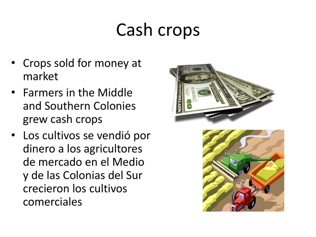 Cash crops Crops sold for money at market