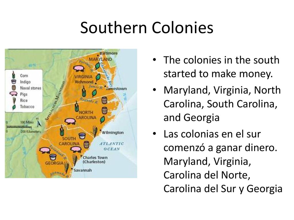 Southern Colonies The colonies in the south started to make money.