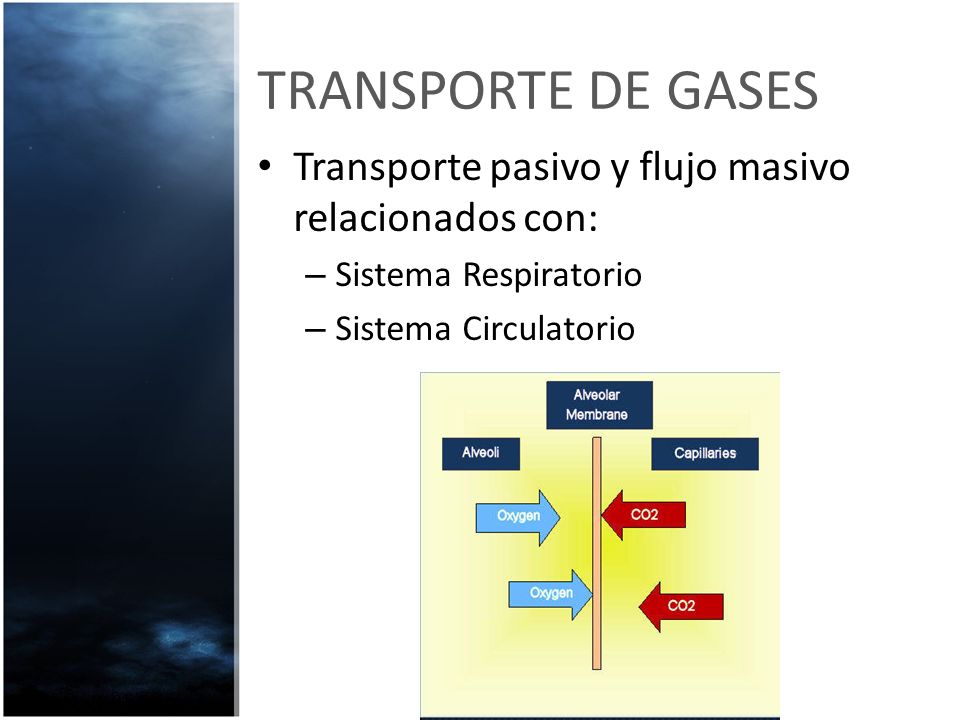 TRANSPORTE DE GASES Transporte pasivo y flujo masivo relacionados con: