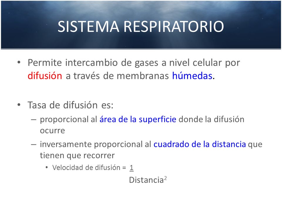 SISTEMA RESPIRATORIO Permite intercambio de gases a nivel celular por difusión a través de membranas húmedas.