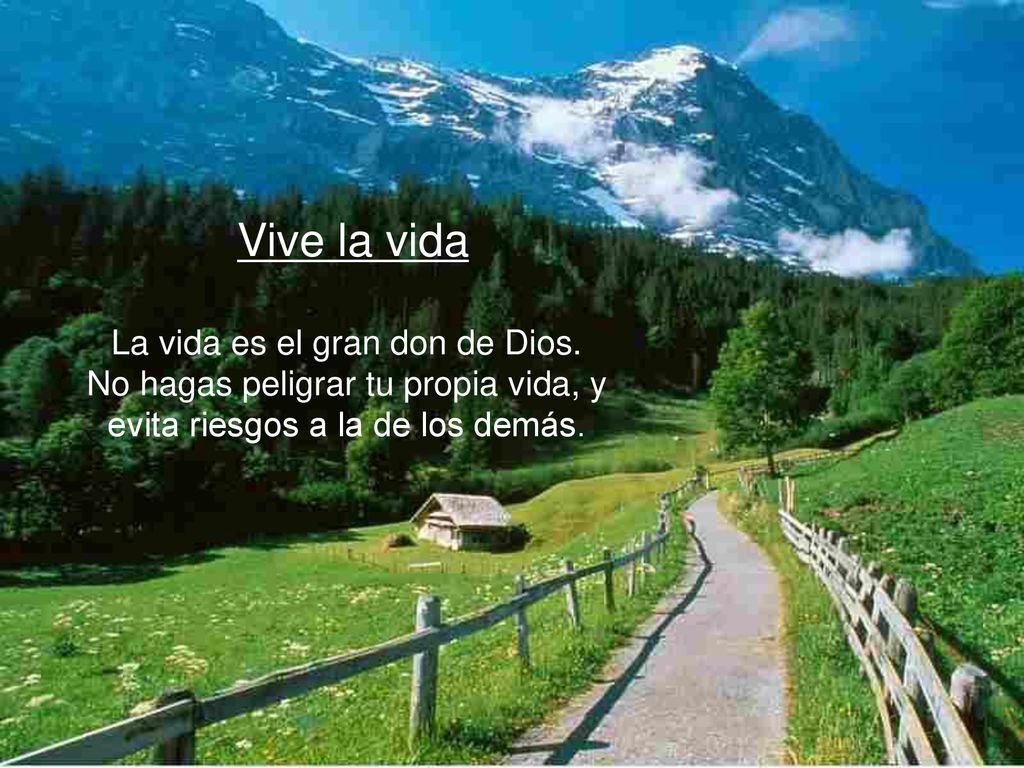 Vive la vida La vida es el gran don de Dios.